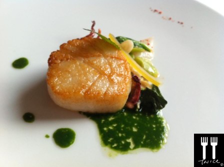 scallop